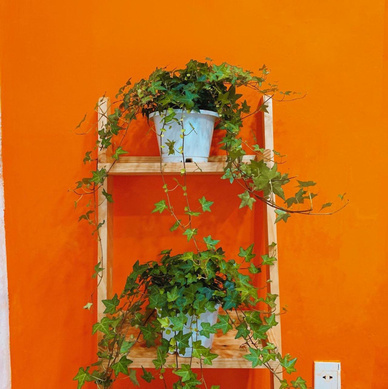 Summer Taste Homestay Ho-Chi-Minh-Stadt Exterior foto